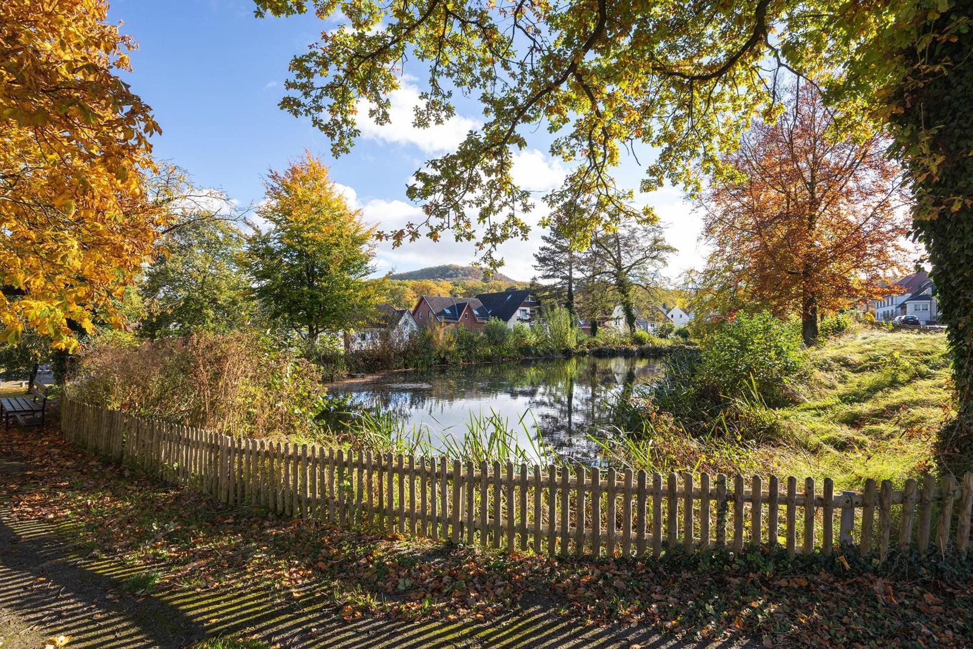Gaestehaus Am Muehlenteich Schieder-Schwalenberg Extérieur photo